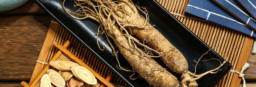 Le ginseng