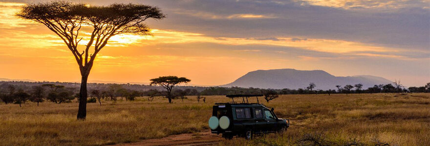 safaris en Afrique du Sud